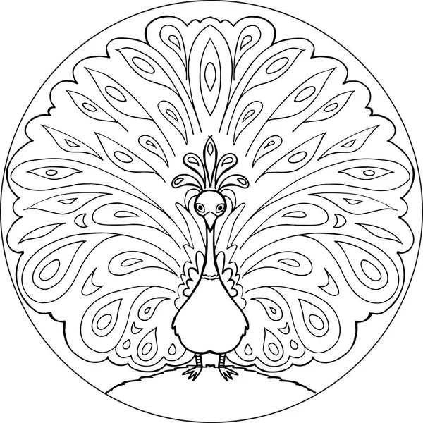 Kleuren peacock mandala vector — Stockvector