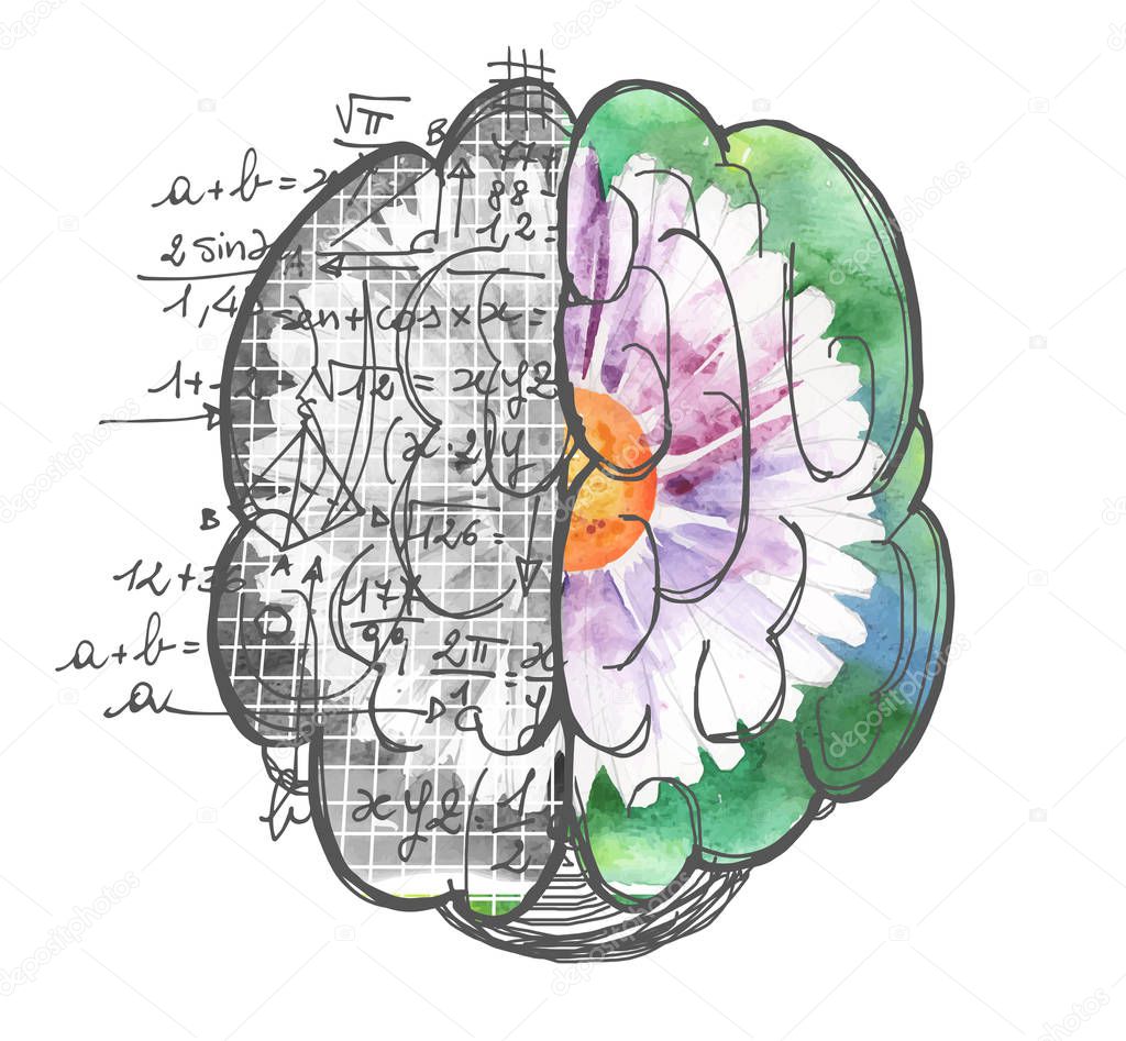 Brain hemispheres uses artwork