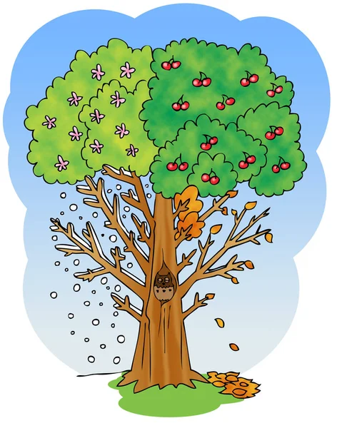 Dört mevsim kiraz ağacı illüstrasyon — Stok fotoğraf