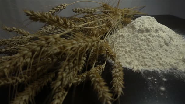 Farine, pain et épis de blé close HD — Video