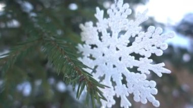 Kış, Noel, çam dalları Ladin Hd dallarında şekillerdeki Noel kar altında