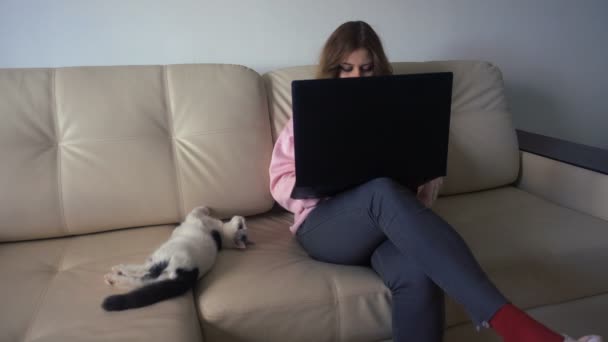 A menina trabalhando em um laptop sentado em um sofá ao lado do gatinho 4k — Vídeo de Stock