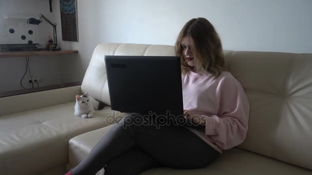 Ung kvinna på hem sitter i soffan, hon arbetar med en laptop och sin katt bredvid sin 4 k — Stockvideo