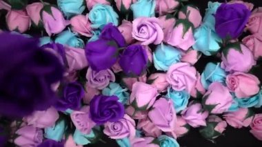 Sevgililer Günü ya da yıldönümü için parlak renkli güllerin romantik uçuşu