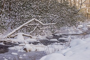 Kar ve buz kaplı küçük dere.
