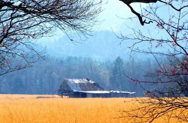 Un antiguo granero en Cades Cove rodeado de hierbas doradas . —  Fotos de Stock