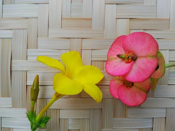 Christ Thorn çiçek ve Allamanda çiçek dokuma bambu desen