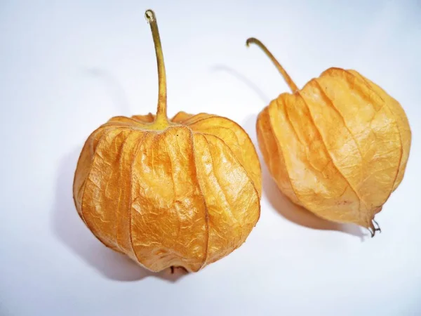 Beyaz arka planda Cape Gooseberry (Physalis Peruviana) 