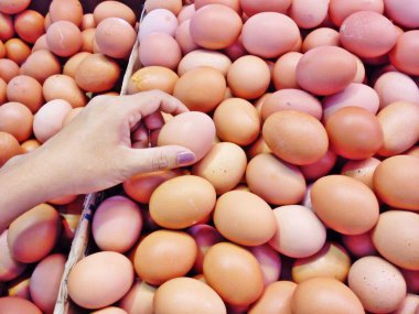 Piyasada yumurta alışverişi tutan eller