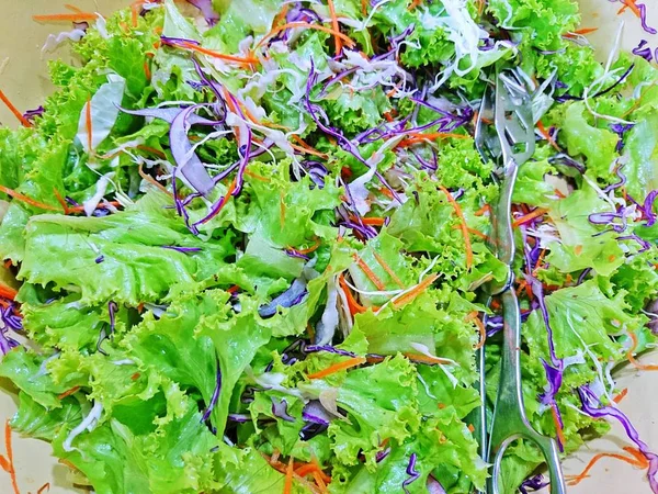 Karışık salata kasesine kadar kapalı