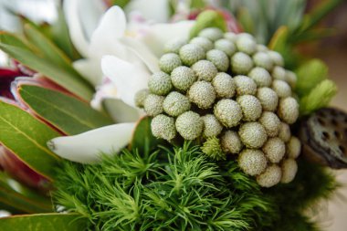 Çok güzel bir sabah gelin iç çamaşırı ve beyaz elbise