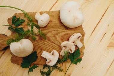 Royal fışkın maydanoz ve dereotu ile mantar