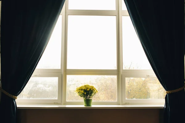 Beautiful flowers in vase with light from window