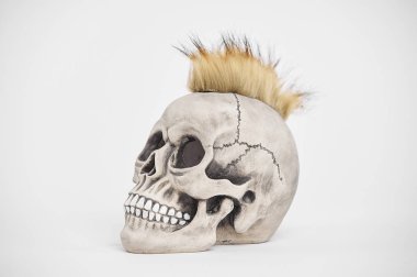 İzole edilmiş beyaz arka planda insan punk kafatasının yan portresi