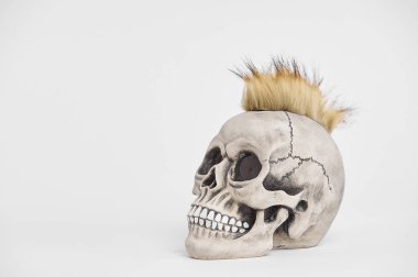 İzole edilmiş beyaz arka planda insan punk kafatasının yan portresi