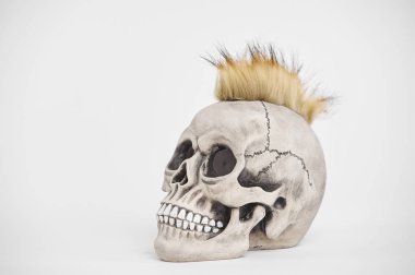 İzole edilmiş beyaz arka planda insan punk kafatasının yan portresi