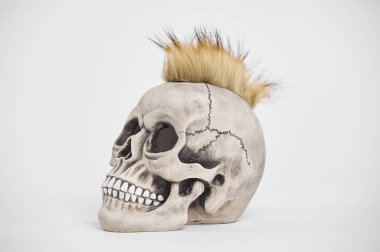 İzole edilmiş beyaz arka planda insan punk kafatasının yan portresi