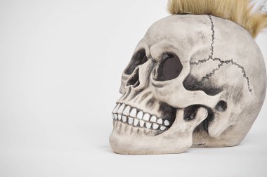 İzole edilmiş beyaz arka planda insan punk kafatasının yan portresi