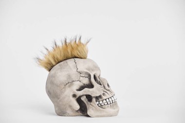 İzole edilmiş beyaz arka planda insan punk kafatasının yan portresi