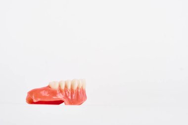 Sahte protezler. Diş hijyenisti konsepti. Üst çenenin tam çıkarılabilir plastik protezi.