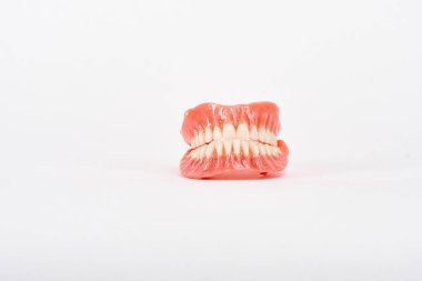 Sahte protezler. Diş hijyenisti konsepti. Alt çenenin tam çıkarılabilir plastik protezi.