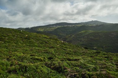 Yeşil uçurum ve mavi gökyüzü