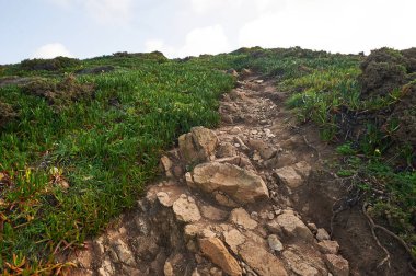 Yeşil uçurumun taştan yolu