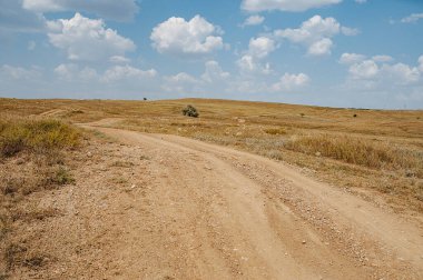 Steppe yolu. Ekoloji konsepti. Yaz ışığı