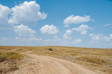 Steppe yolu. Ekoloji konsepti. Yaz ışığı