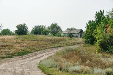 Köy yolu. Ekoloji konsepti. Yaz