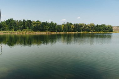 Gölet. Ekolojik kavram. Yaz zamanı.