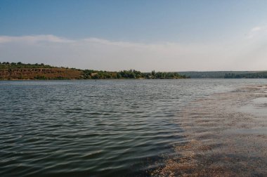 Gölet. Ekolojik kavram. Yaz zamanı.