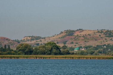 Gölet. Ekolojik kavram. Yaz zamanı.