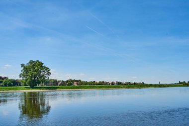 Yaz gezisi. Elba nehri yeşil kır manzarası.