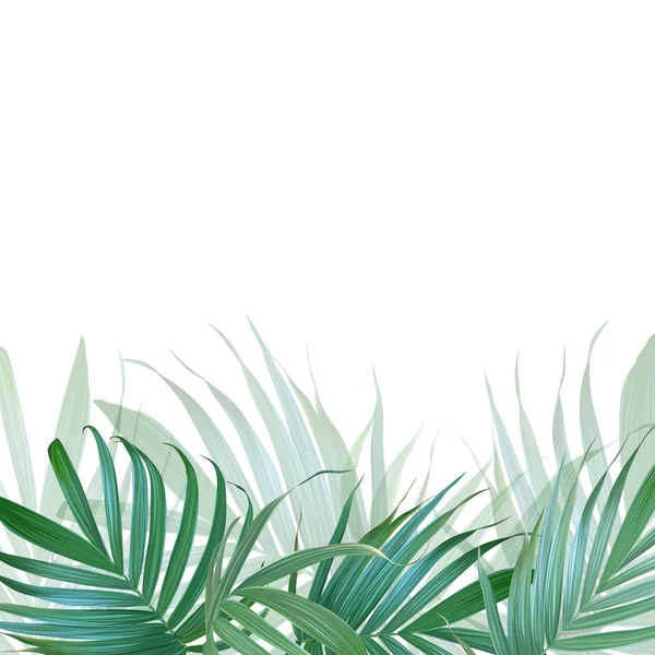 Sfondo foglie palma vettoriale. Stendardo tropicale. Manifesto alla moda w — Vettoriale Stock