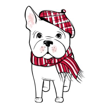 Sevimli vektör köpek kış giysileri içinde. Moda Fransız bulldog köpek yavrusu.
