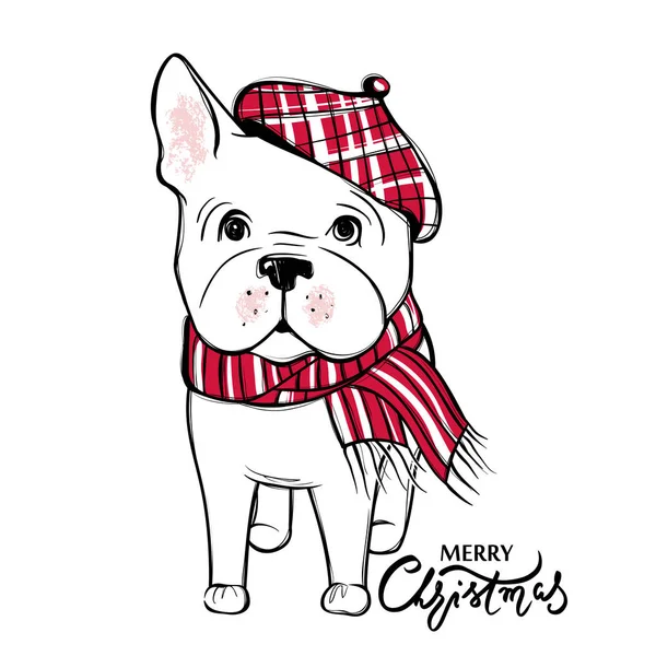 Netter Vektorhund in Winterkleidung. Mode Französische Bulldogge Welpen. — Stockvektor