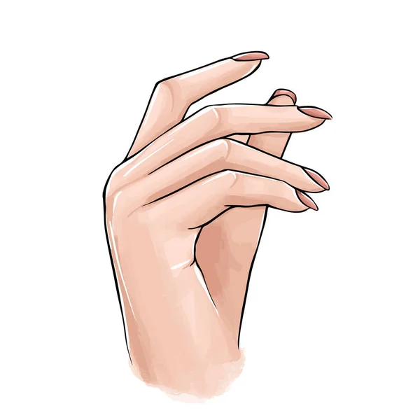 Vektor Krásná žena ruka s nahý lak na nehty. — Stockový vektor