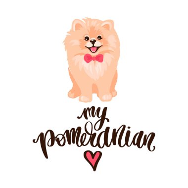 Pomeranya tükürük köpek yavrusu beyaz arka planda izole edildi.