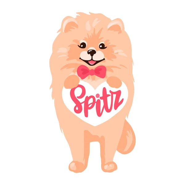 Cachorro spitz pomeranian isolado no fundo branco. — Vetor de Stock