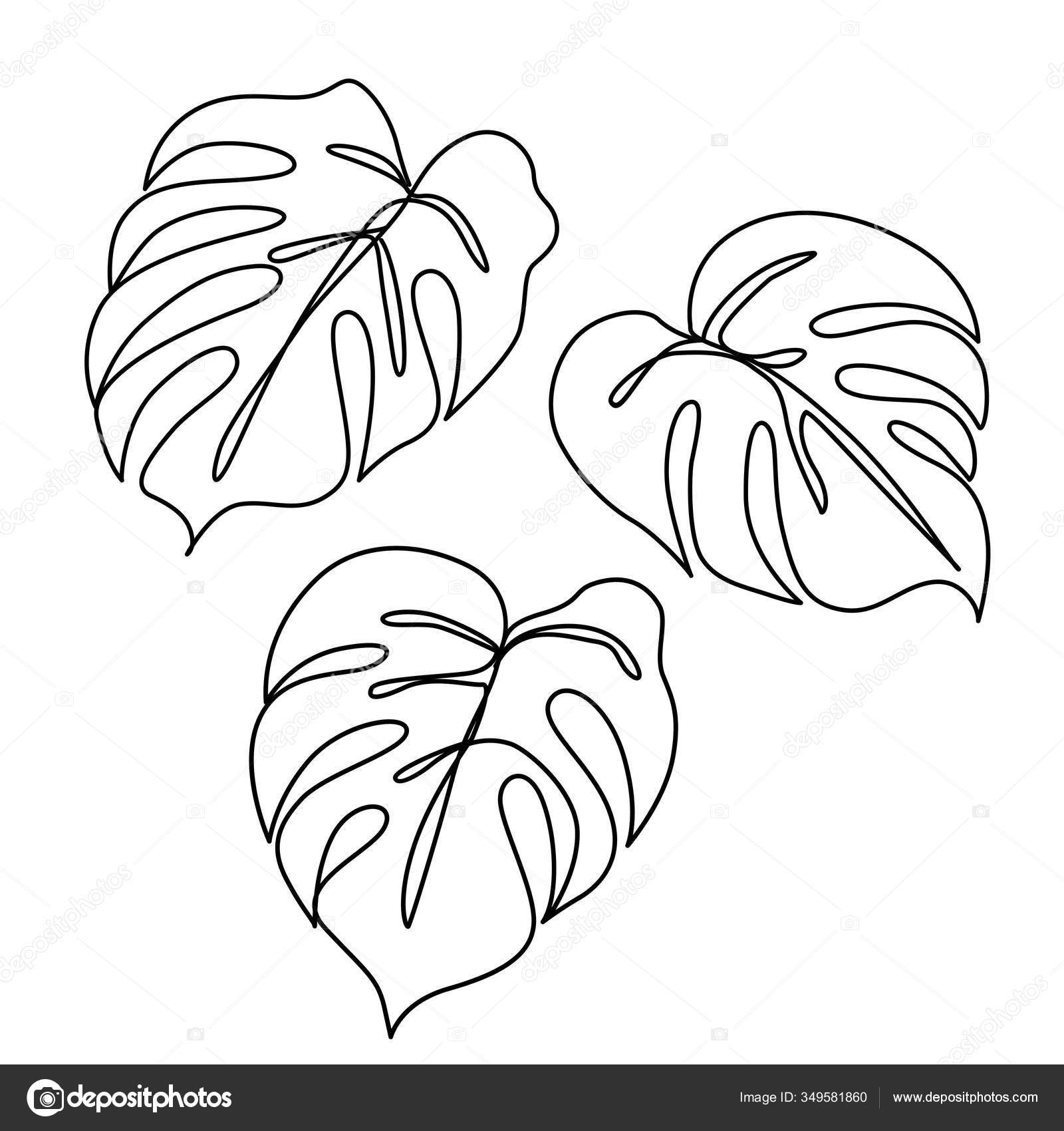 Oak leaf sketch clipart to color, lge 12 cm long | This clip… | Flickr