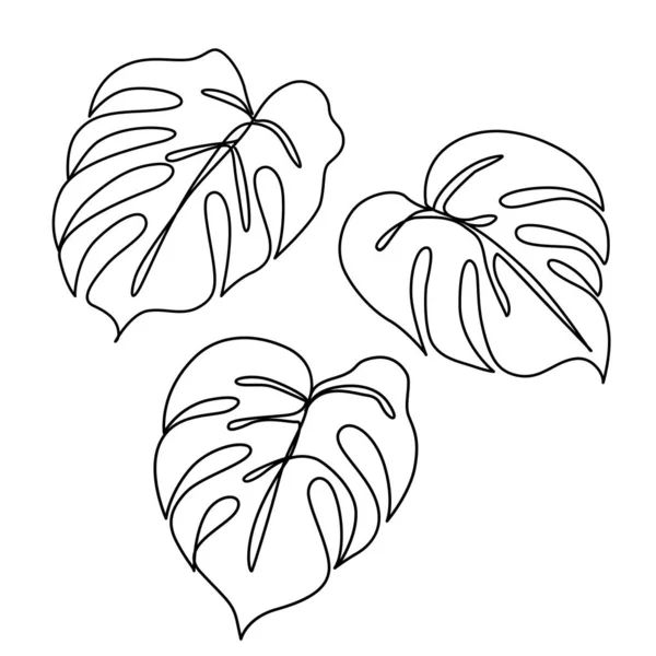 Ligne continue feuille de monstère. Dessin contour des feuilles tropicales — Image vectorielle