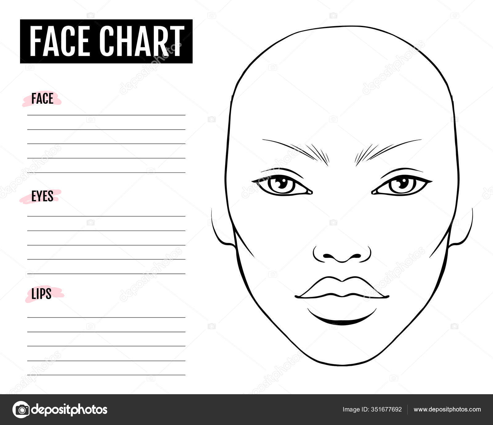 Face Chart Blank Makeup Artist Vector