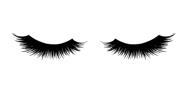 Long black lashes vector illustration. Beautiful Eyelashes isolated on white — Stock Vector