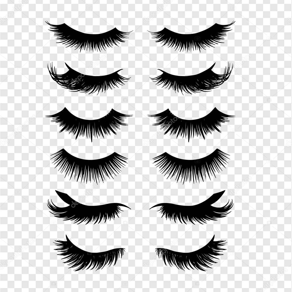 Long black lashes vector set. Different types Beautiful Eyelashes