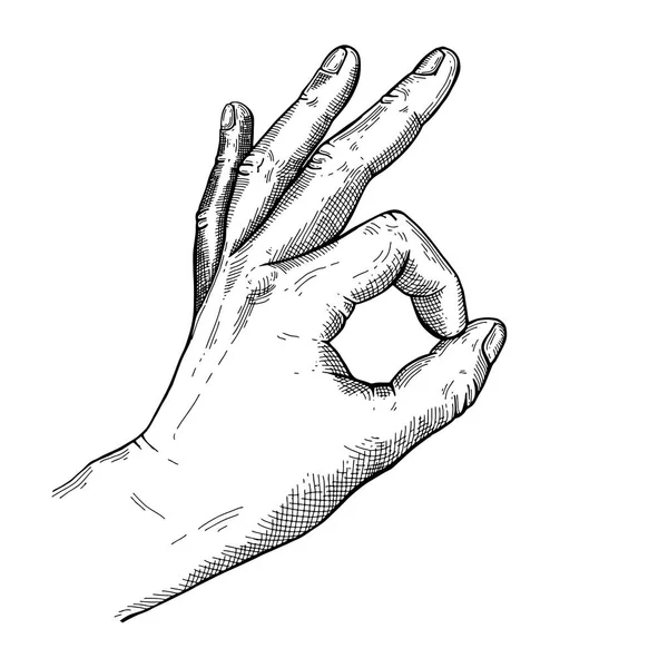 Kéz gesztus vázlat — Stock Vector