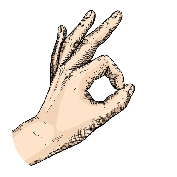 Bosquejo de gesto de mano — Archivo Imágenes Vectoriales