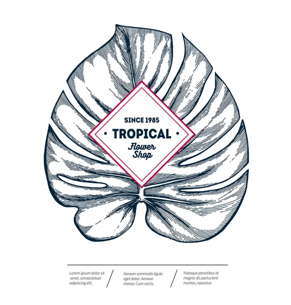 Diseño de hoja tropical — Vector de stock