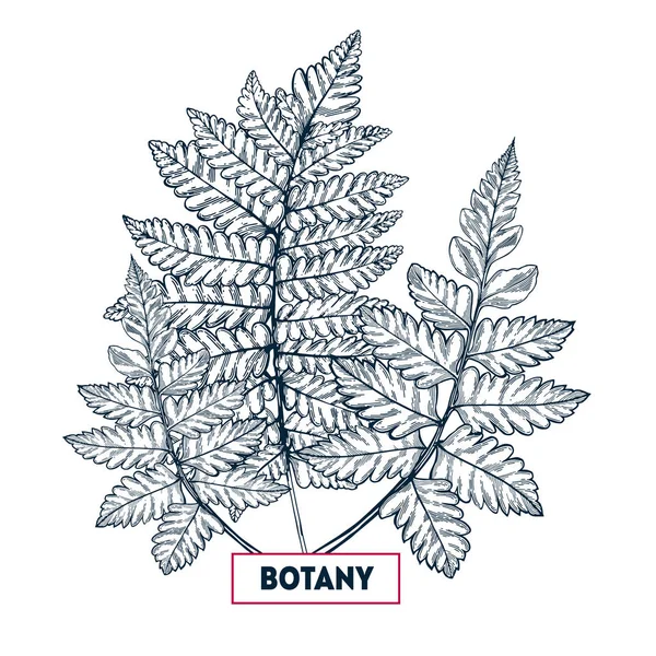 Tarjeta de hojas tropicales — Archivo Imágenes Vectoriales