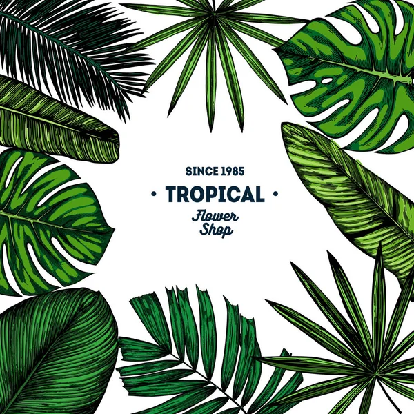 Hojas tropicales verdes — Vector de stock